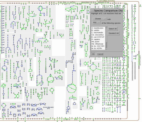 Pathway Tools Global Metabolic Map Comparisons